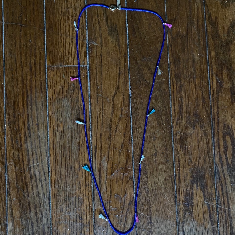 Dainty Seed Bead Tassel vv Necklace